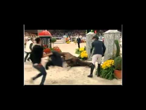 Youtube: 2011-11-06 Sir Hickstead Olympic Showjumper  died in Verona.