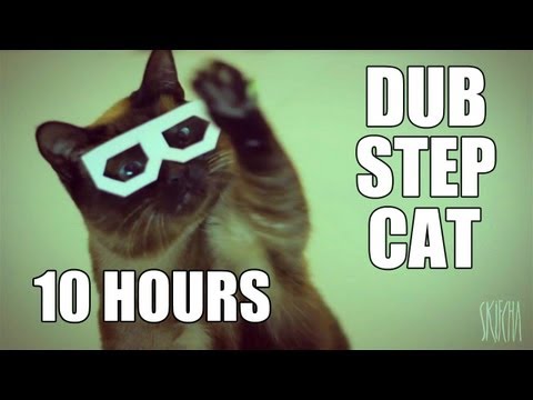 Youtube: stereo skifcha | dubstep cat [10 HOURS VERSION]