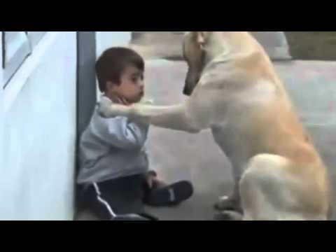 Youtube: Down Syndrome child with dog