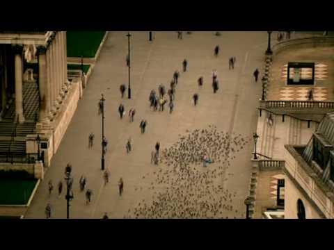 Youtube: Symphony of Science - The Poetry of Reality (An Anthem for Science)