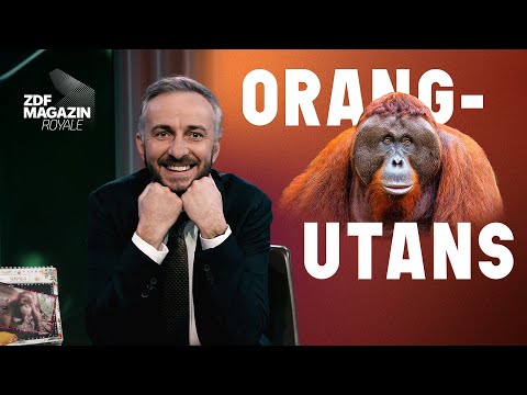 Youtube: Kaum zu glauben, was diesem Orang-Utan passieren wird | ZDF Magazin Royale