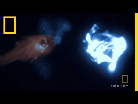 Youtube: Bioluminescence on Camera | National Geographic