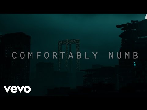 Youtube: Roger Waters - Comfortably Numb 2022