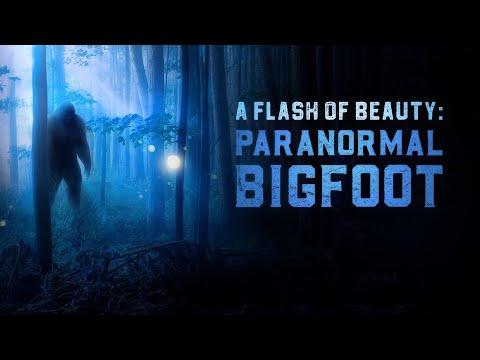 Youtube: A Flash of Beauty 2: Paranormal Bigfoot