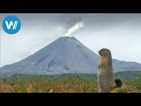 Youtube: Kamtschatka, kochende Erde (360° - GEO Reportage)