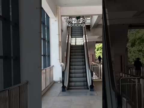 Youtube: The Art of Noticing (do you see it?)