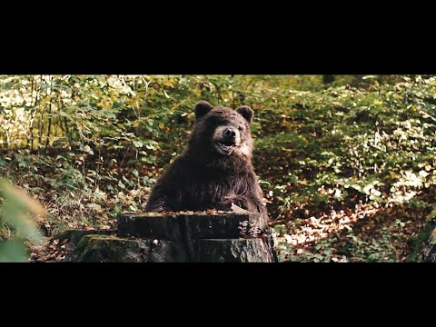 Youtube: KRAFTKLUB - Wie Ich (official video)