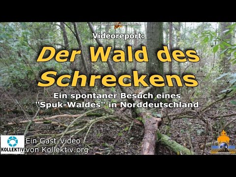 Youtube: Der Wald des Schreckens: Ein Besuch in einem Spuk-Wald in Norddeutschland (Gast-Video)