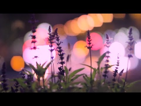 Youtube: PrettyLights - We Must Go On - HD Music Video (official)