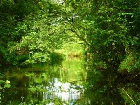 Youtube: Shaman - Vuojan