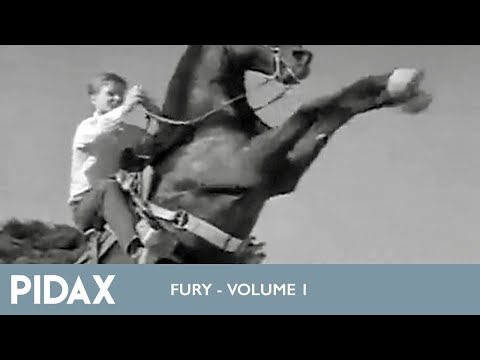 Youtube: Pidax - Fury - Die Geschichte eines Pferdes (1955 - 1960, TV-Serie)