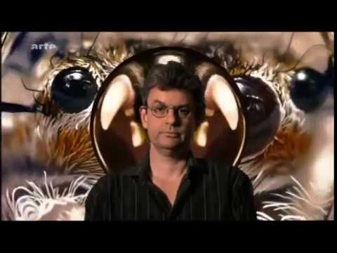 Youtube: Ich bin ein Psychopath - Arte Dokumentation Sam Vacnin