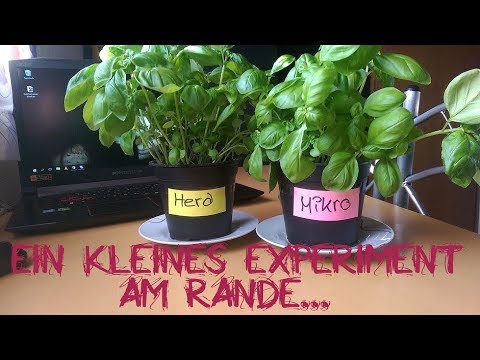 Youtube: Ein kleines Experiment am Rande...