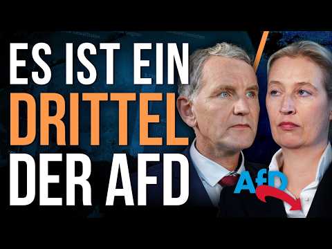 Youtube: Die AfD hat Zehntausende Rechtsextremisten in der Partei