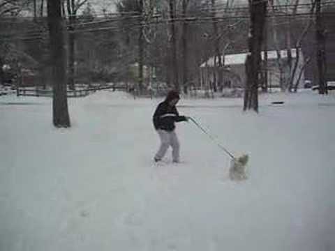 Youtube: Sneaker runs in the snow again