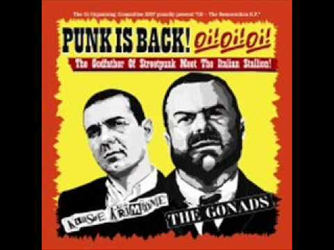 Youtube: The Gonads - Punk rock will never die