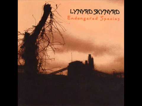 Youtube: Lynyrd Skynyrd - Saturday Night Special.wmv