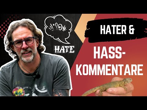 Youtube: Ich liebe Reptilien 🦎 – und verkaufe sie. Bin ich deshalb der Böse? Meine ehrliche Meinung!