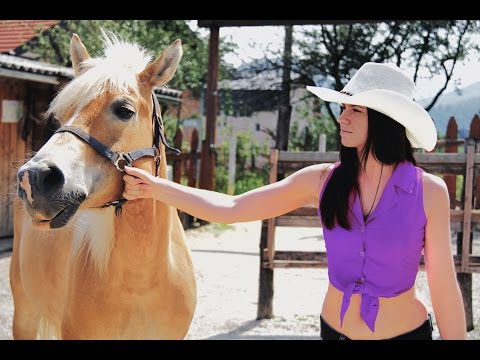 Youtube: How To Ride a Horse