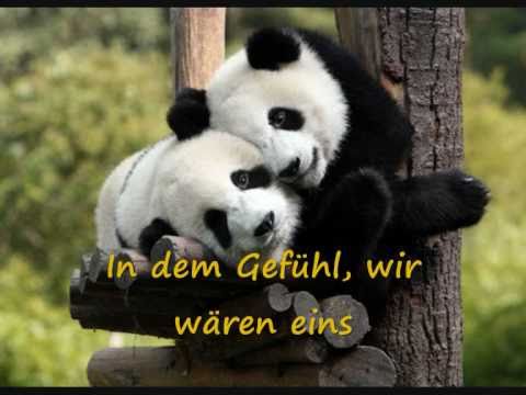 Youtube: Kettcar - Balu