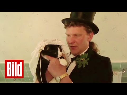 Youtube: Mann heiratet Katze - ungewöhnliche Liebe aus Dresden - BILD