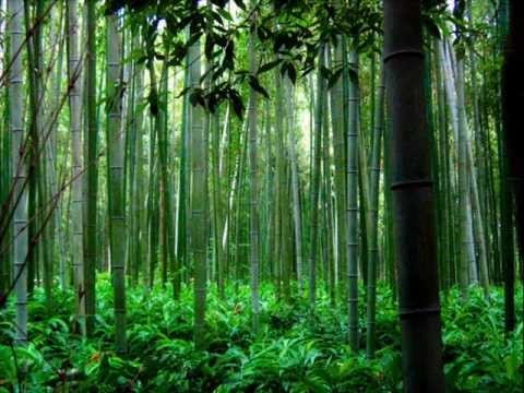 Youtube: Trail of the Angels - Bamboo Flute Chinese Music ( Xiao )