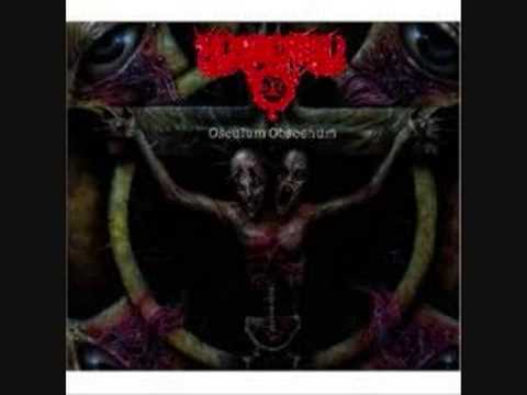 Youtube: Hypocrisy - Osculum Obscenum