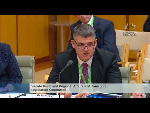 Youtube: Senate Estimates 22/05/18: ATSB MH370 Part V