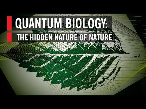 Youtube: Quantum Biology: The Hidden Nature of Nature
