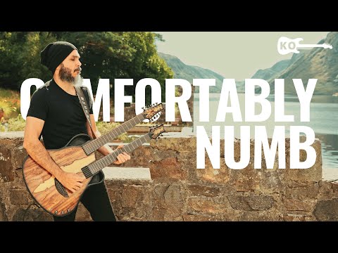 Youtube: Pink Floyd - Comfortably Numb - Guitar Cover by Kfir Ochaion - Emerald Guitars