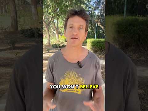 Youtube: A Miracle in GAZA!!! #gaza #israel #ceasefire