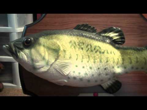 Youtube: ***BIG MOUTH BILLY BASS*** (Singing fish)