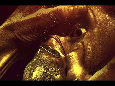 Youtube: HONEYDEW | 2021| Red Band Trailer HD | Bloody Disgusting x Dark Star