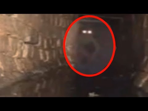 Youtube: 5 Mysterious Creatures Caught On Camera & Spotted In Real Life!