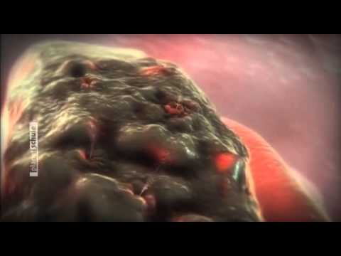Youtube: Der Kern des Lebens - Zellen und Viren