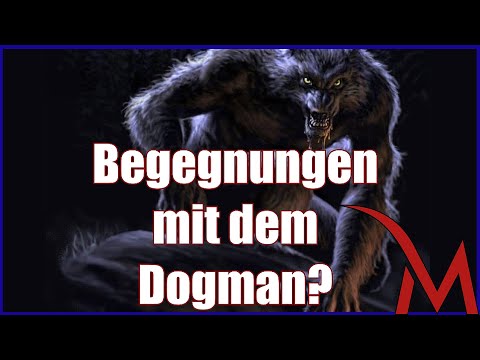 Youtube: Begegnungen mit dem Dogman?