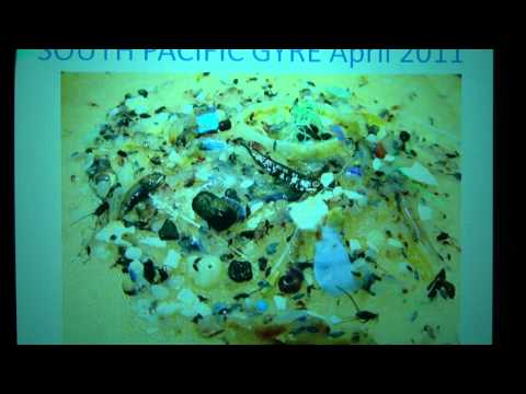 Youtube: Charles Moore- Plastic Ocean