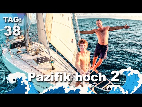 Youtube: Pazifik hoch 2 - ENTE gut alles gut | Tag 38