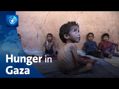 Youtube: Hilfsorganisation spricht über Situation in Gaza
