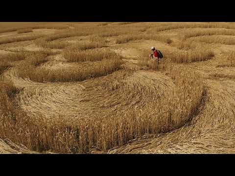 Youtube: Crop Circle near Bohdankov,  Liberec, The Czech Republic. Reported 7th July 2018