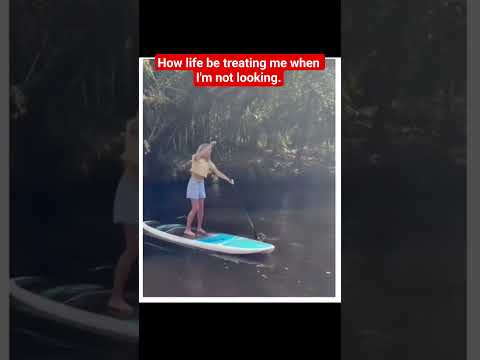 Youtube: Can't turn your back on life for a minute.