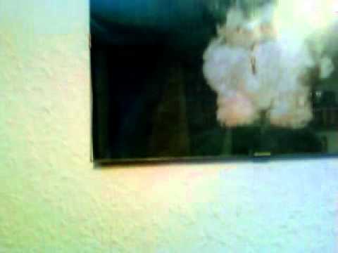 Youtube: am Todestag von meiner Püppi schwingt ihr Bild hin und her..