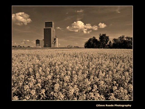 Youtube: John Denver ~ "Wild Flowers in a Mason Jar"