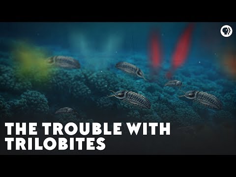 Youtube: The Trouble With Trilobites