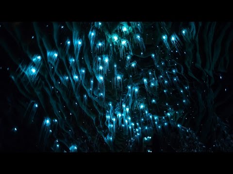Youtube: Waitomo's Lights  - Avatar in Real Life - 4k