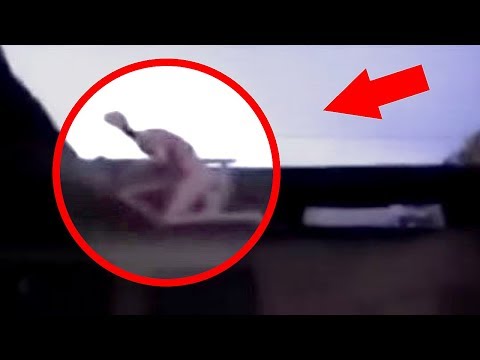 Youtube: 5 Most Mysterious & Unidentified Creatures Caught On Camera
