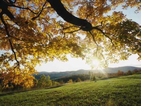 Youtube: Justin Hayward - Forever Autumn