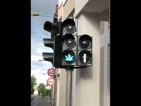 Youtube: Hanf-Ampeln in Frankfurt am Main