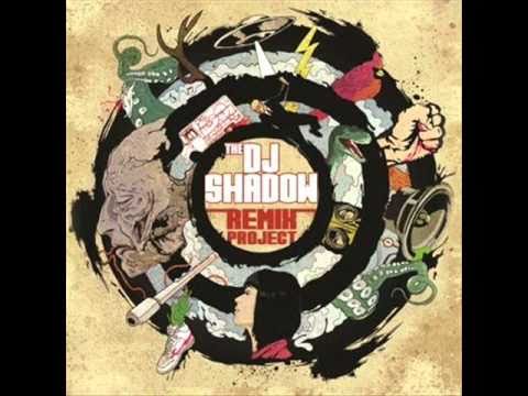 Youtube: DJ Shadow - Organ Donor (Flirtphonic Remix)