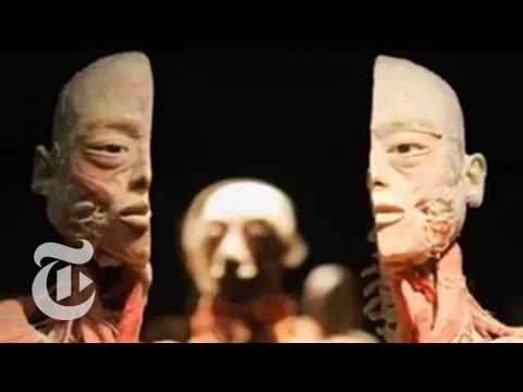 Youtube: China Turns Out Mummified Bodies for Displays | The New York Times